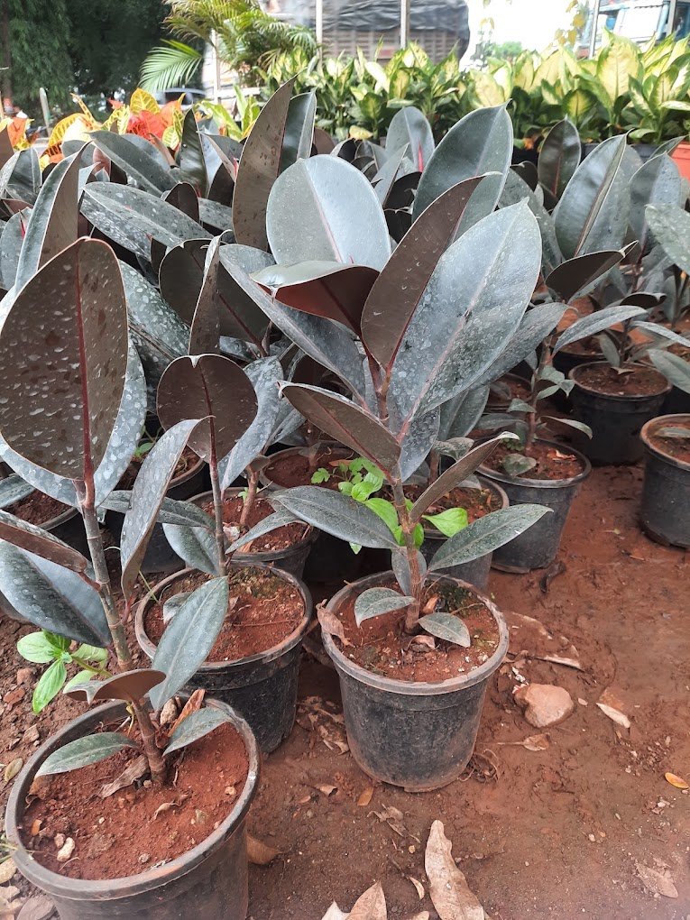Nursery Tour