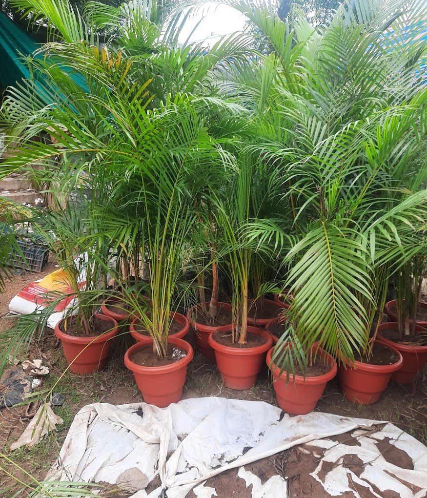 Nursery Tour