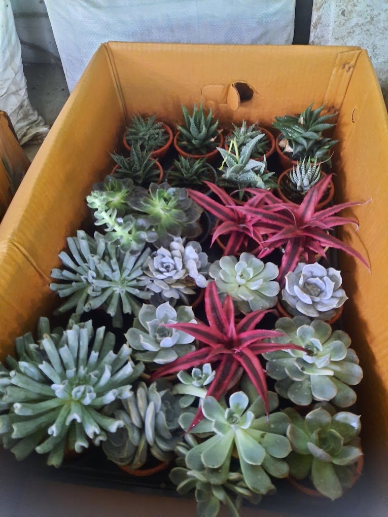 Nursery Tour