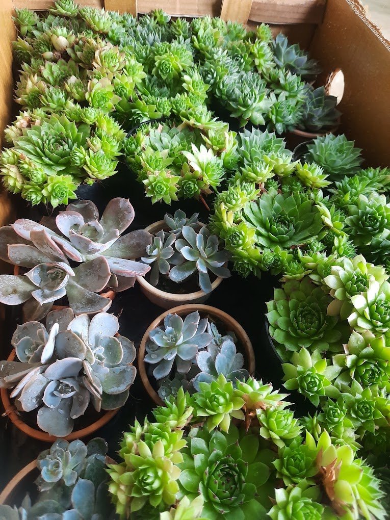 Nursery Tour