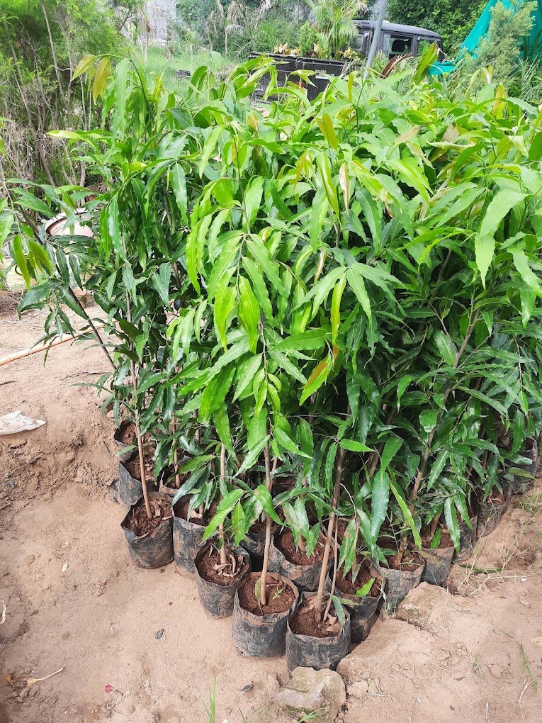 Nursery Tour