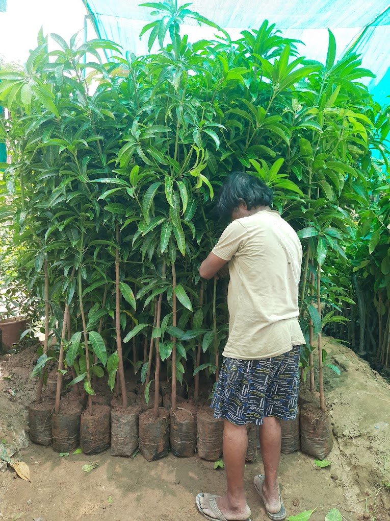Nursery Tour