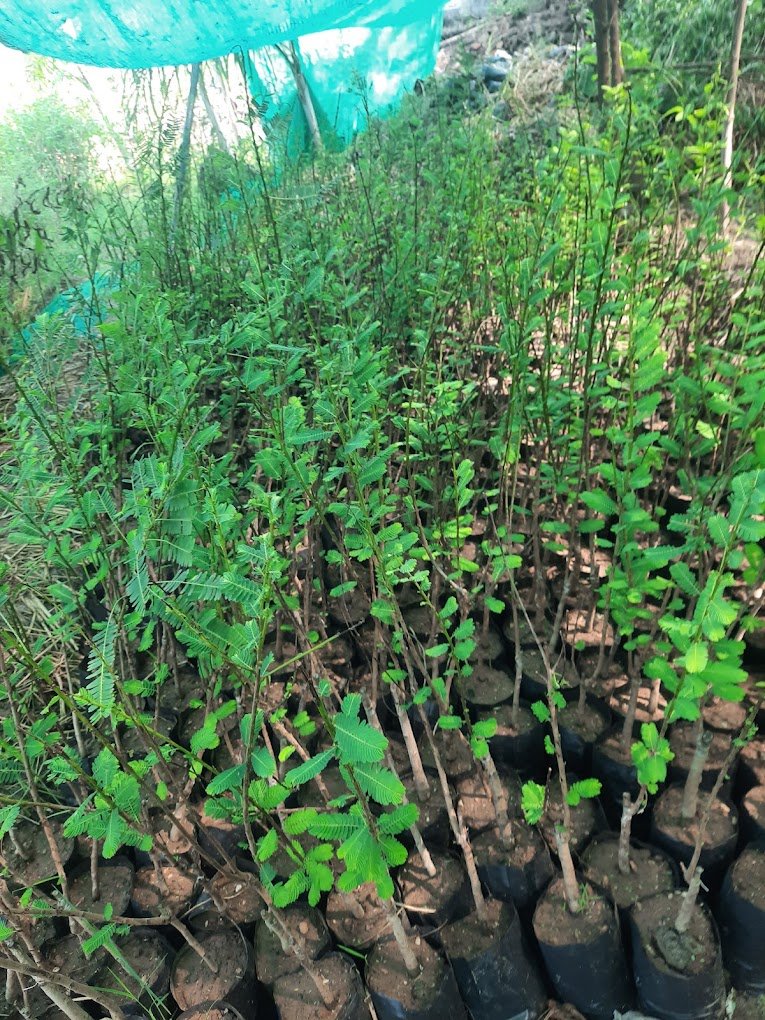 Nursery Tour