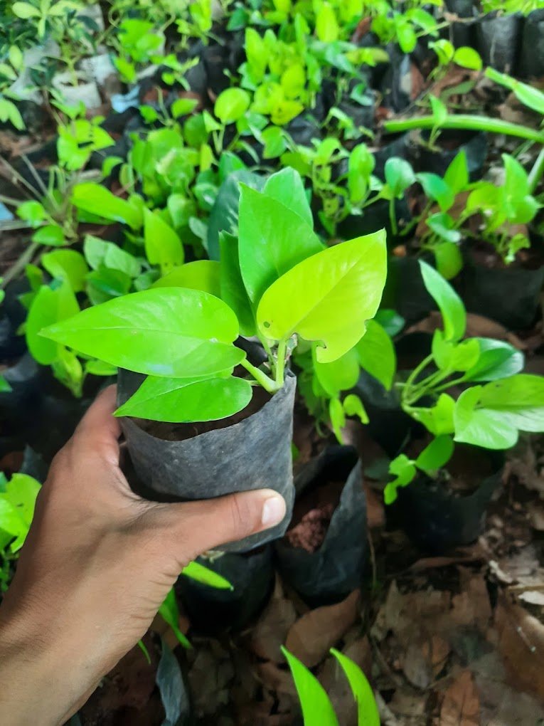 Nursery Tour